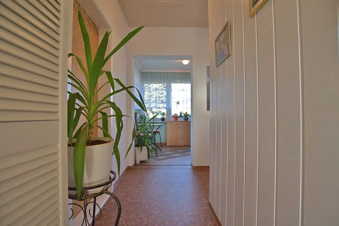 Pferdeliebhaber aufgepasst! Gepflegtes Einfamilien- / Mehrgenerationenhaus auf hofartigem Anwesen