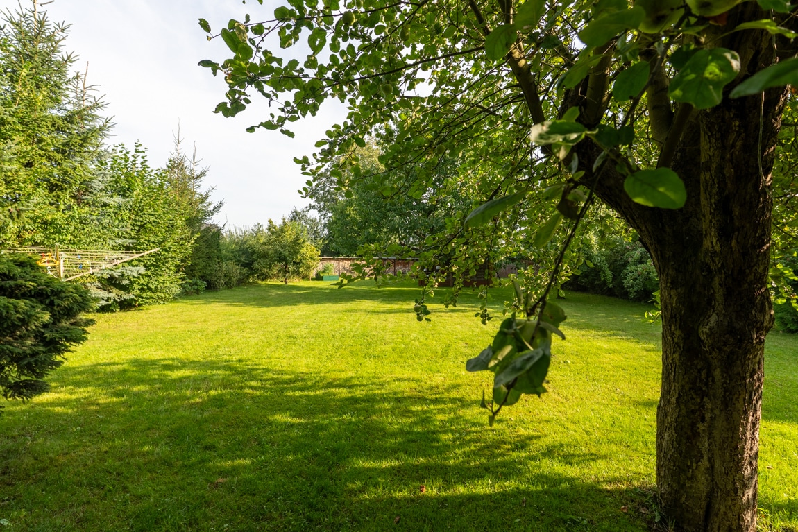 Jeder Tag wie im Urlaub! Einzigartiges Einfamilien-Holzhaus mit Obstgarten direkt am Naturschutzgebiet