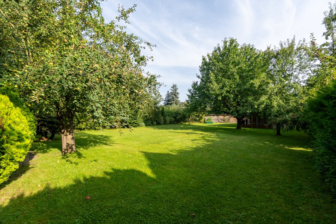 Jeder Tag wie im Urlaub! Einzigartiges Einfamilien-Holzhaus mit Obstgarten direkt am Naturschutzgebiet
