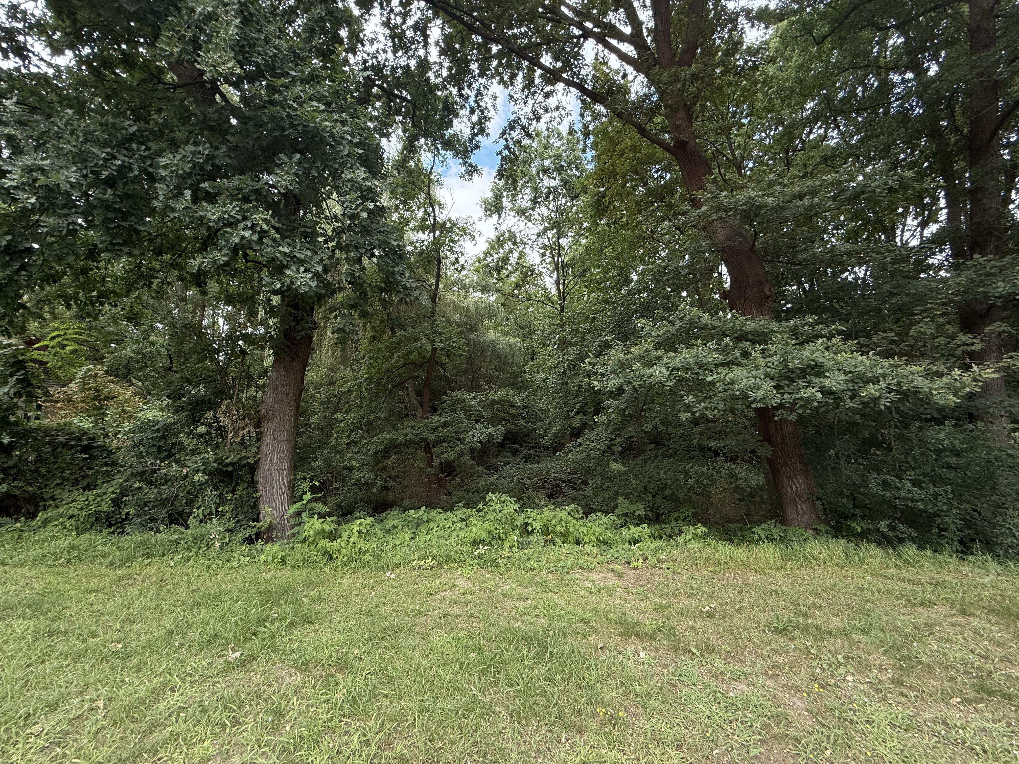 3-Zimmer-Wohnung mit Balkon, Einbauküche, Wannenbad und PKW-Stellplatz direkt am Wald