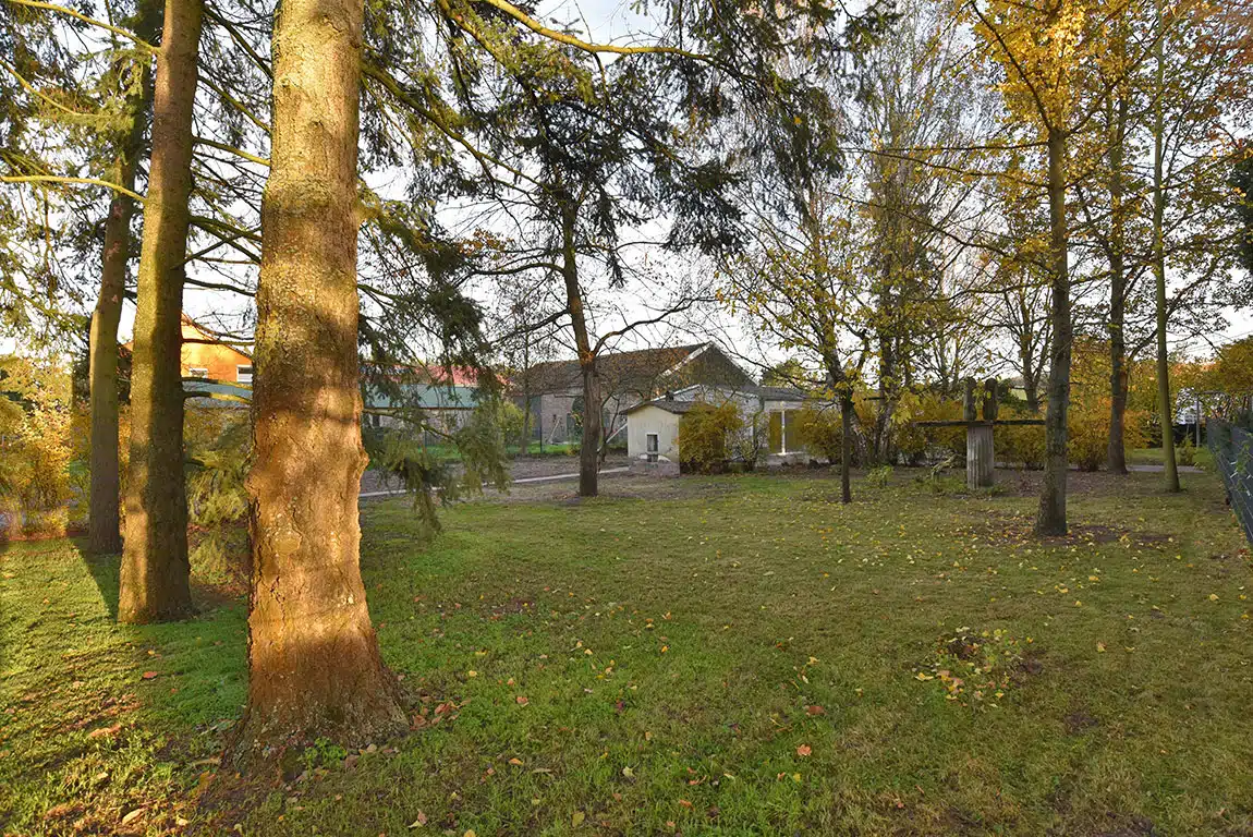 Erstbezug nach Modernisierung! Kleinwohnhaus auf großzügigem Grundstück unweit von Wiesen & Wäldern